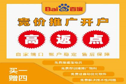 谷歌竞价广告的实时监控与调整策略——某公司经验分享